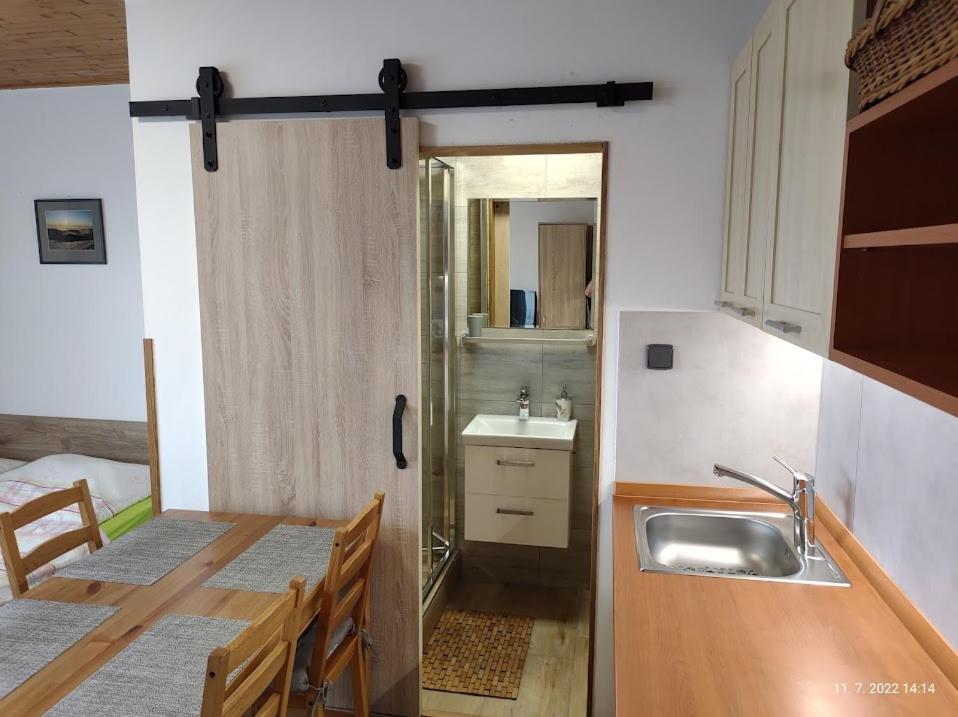Hotel Penzion Daniela Paseky nad Jizerou Zewnętrze zdjęcie