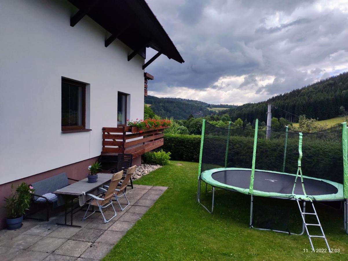 Hotel Penzion Daniela Paseky nad Jizerou Zewnętrze zdjęcie
