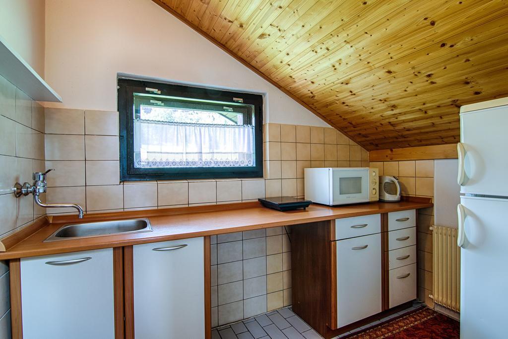 Hotel Penzion Daniela Paseky nad Jizerou Zewnętrze zdjęcie