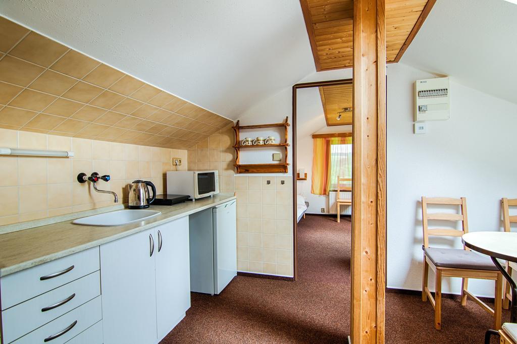 Hotel Penzion Daniela Paseky nad Jizerou Zewnętrze zdjęcie
