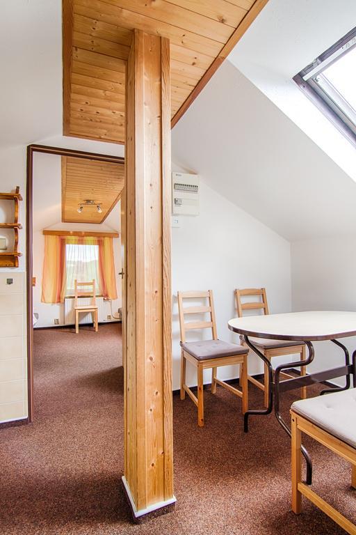 Hotel Penzion Daniela Paseky nad Jizerou Zewnętrze zdjęcie